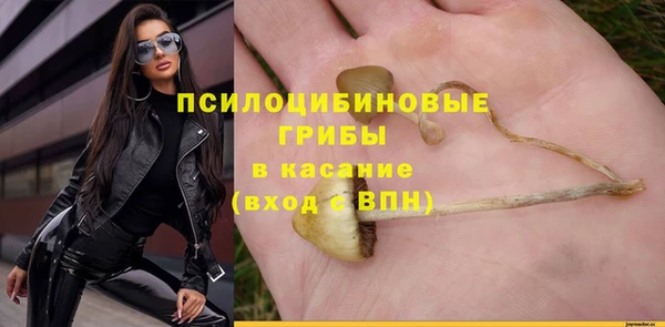 молекула духа Пестово