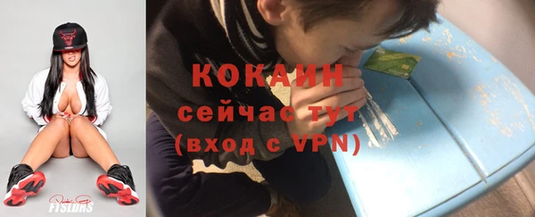 молекула духа Пестово