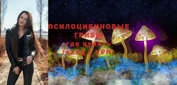 молекула духа Пестово