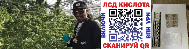 Купить где  Завитинск  Наркотические марки 1500мкг 